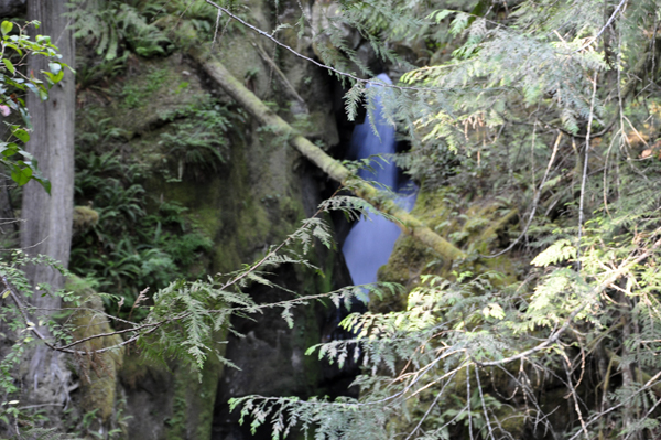 Ladder Creek Falls